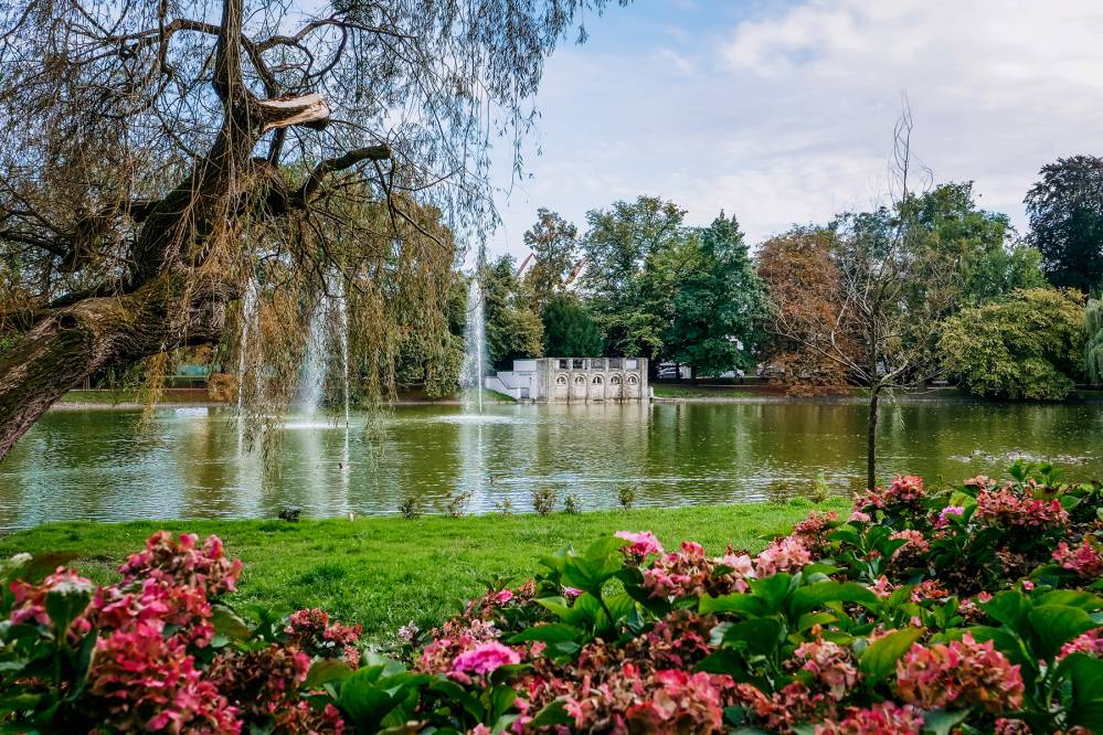 Park im. Miasta Roth