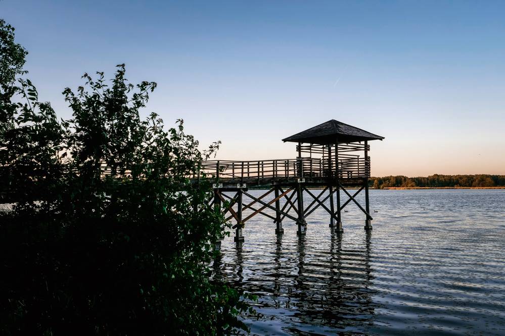 Rezerwat Przyrody Łężczok