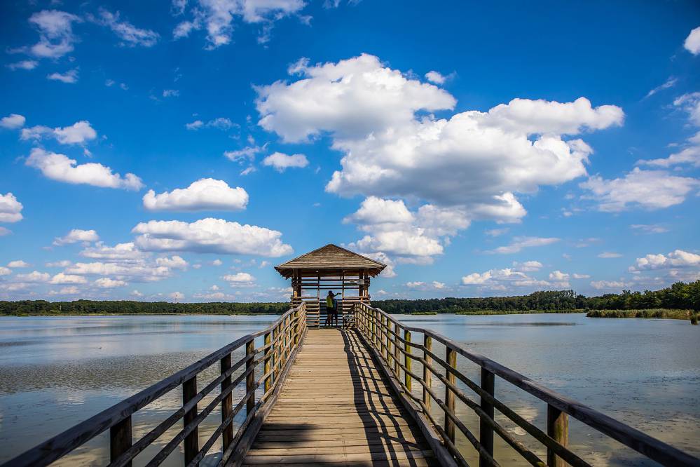 Zielona oaza w sercu Śląska - Kraina Górnej Odry