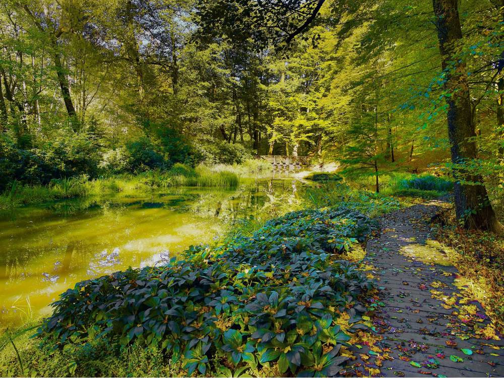 atrakcje turystyczne śląskiego